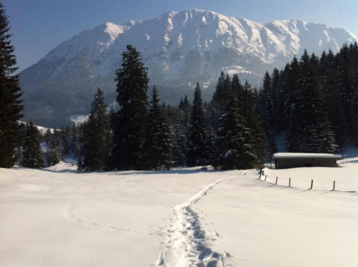 Guffertblick Vila Achenkirch Exterior foto