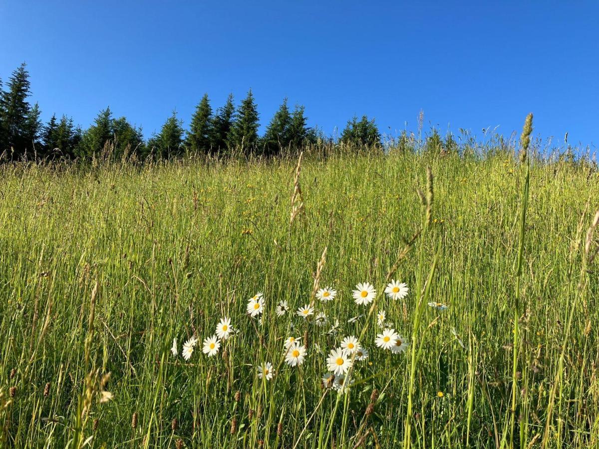 Guffertblick Vila Achenkirch Exterior foto